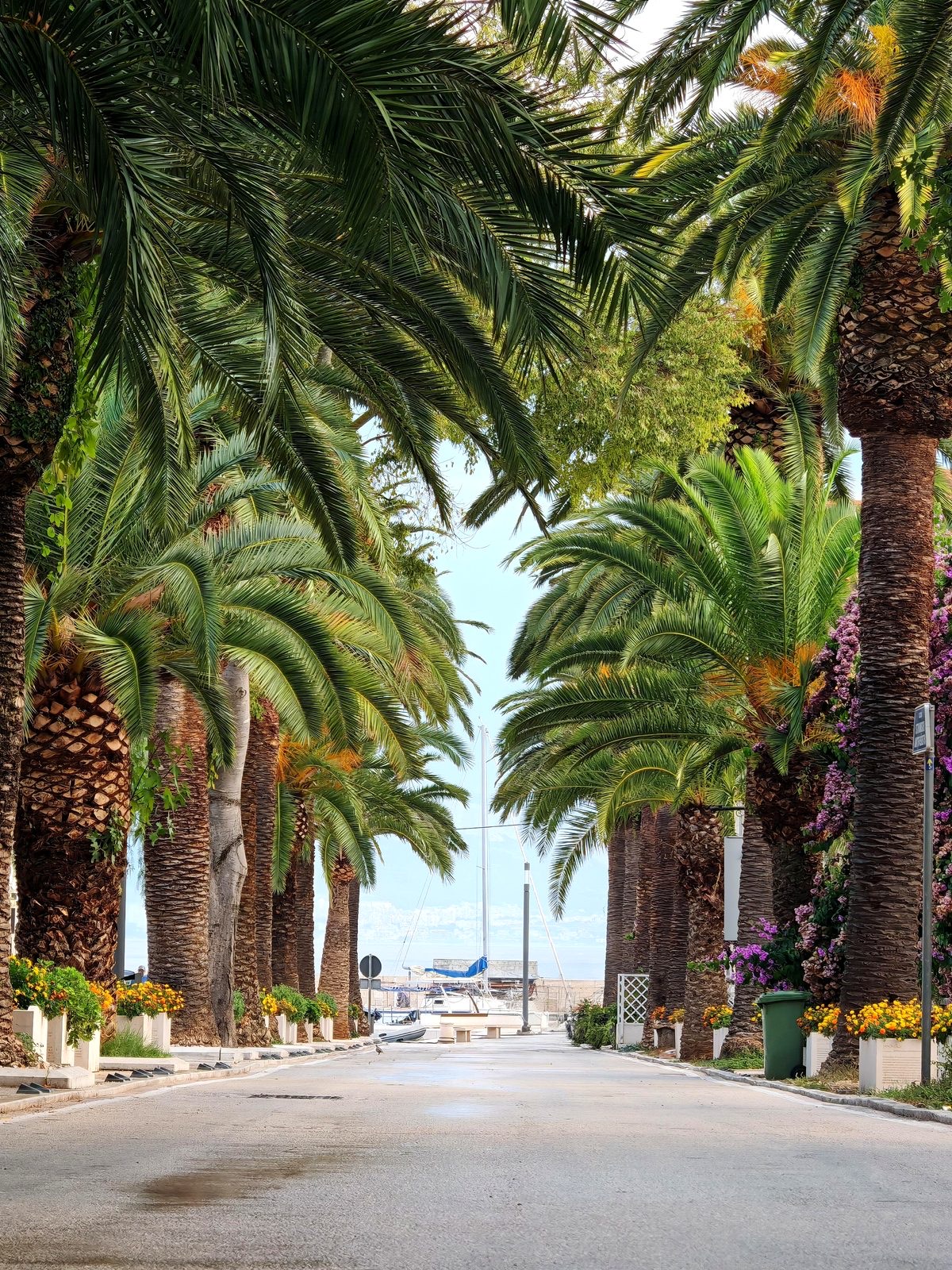 The palm-lined promenade
