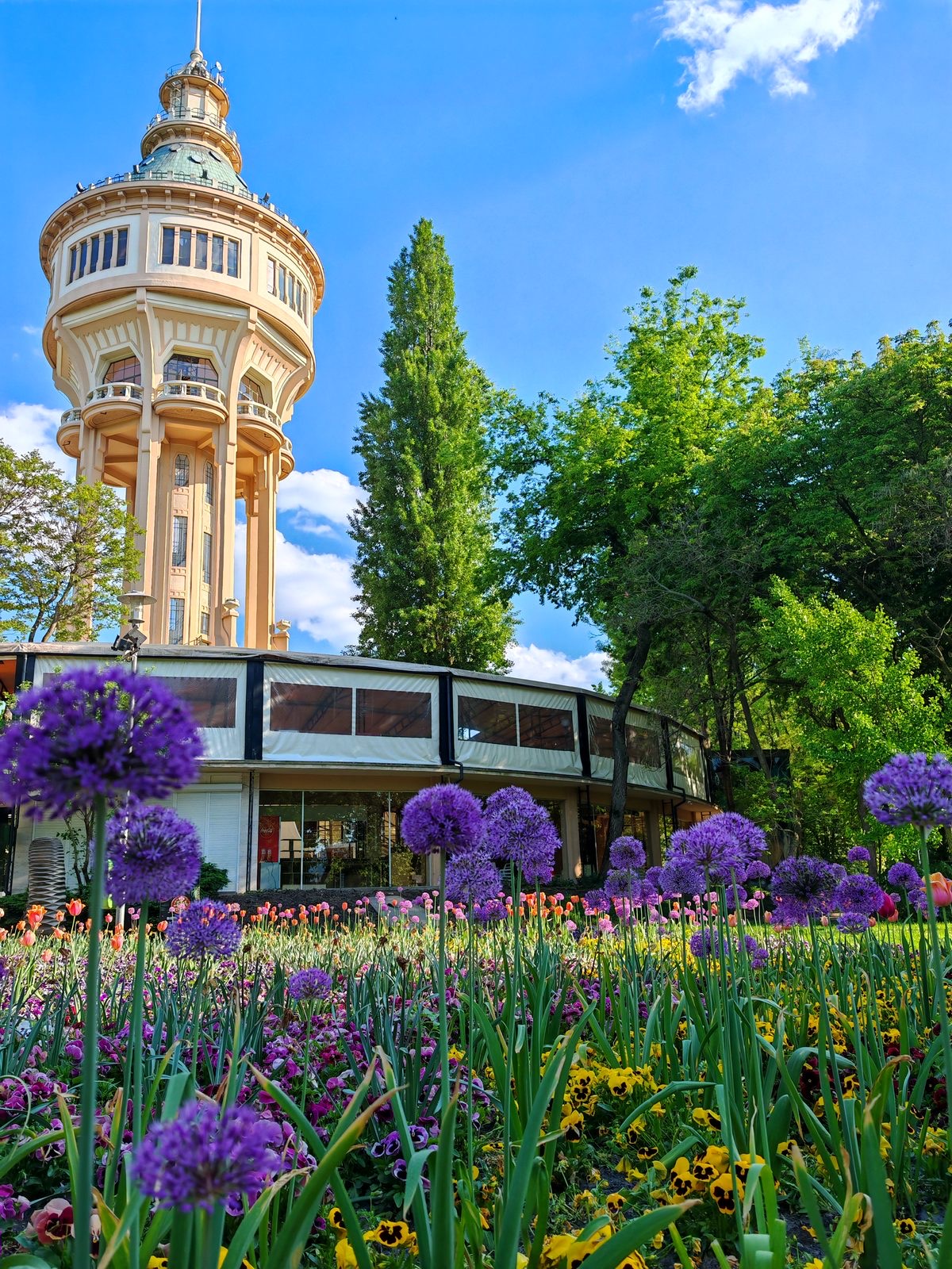Spring blooms on Margaret Island