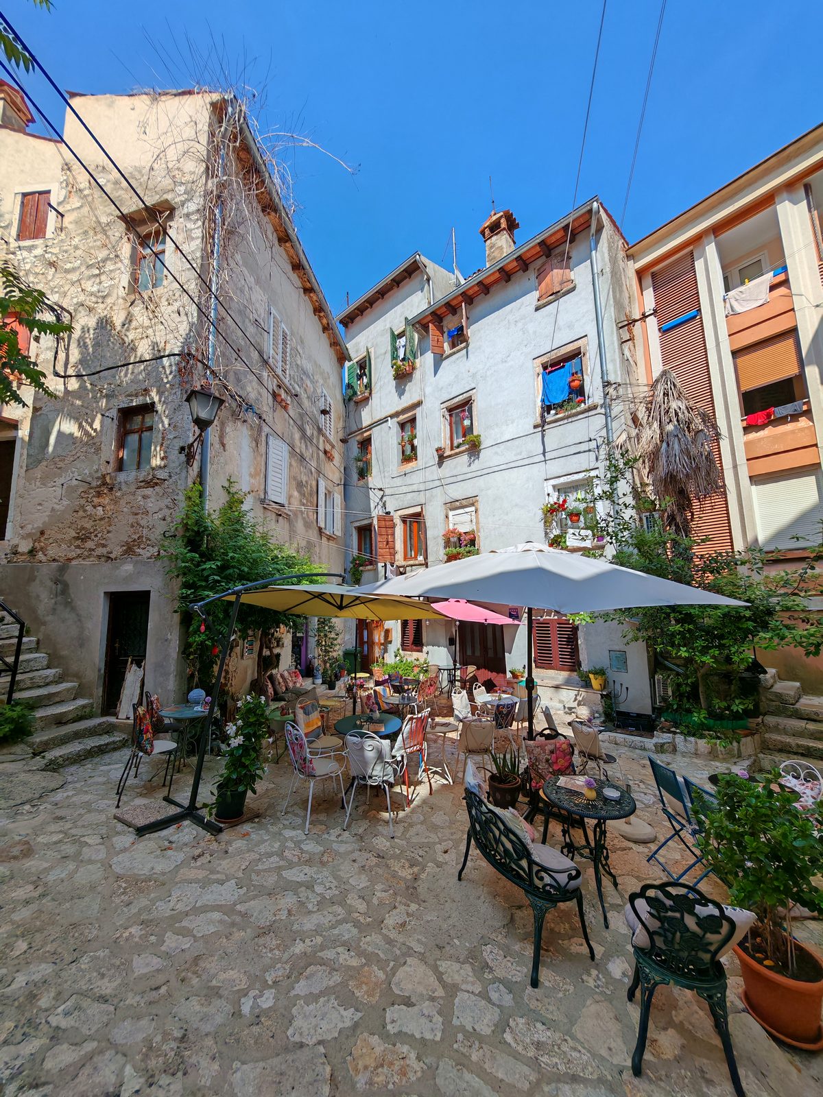 A leafy Rovinj lane