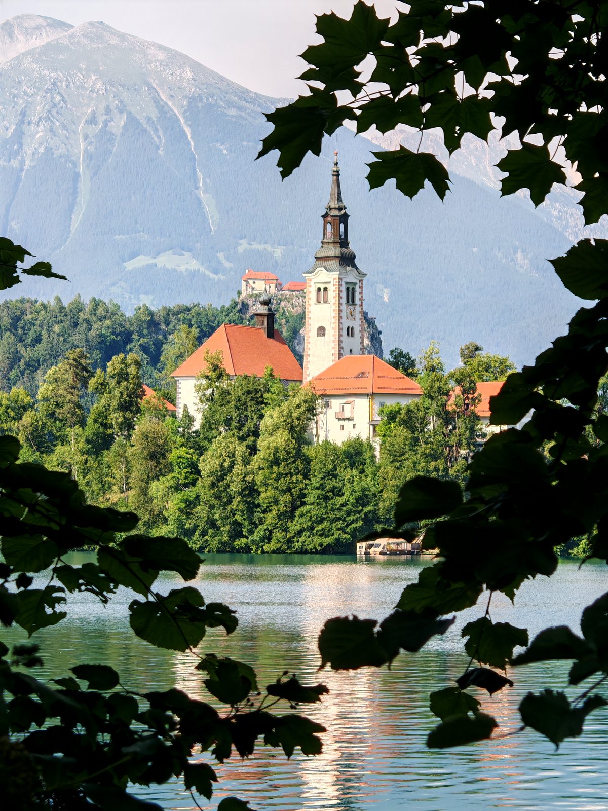 Bled Island framed by the shore