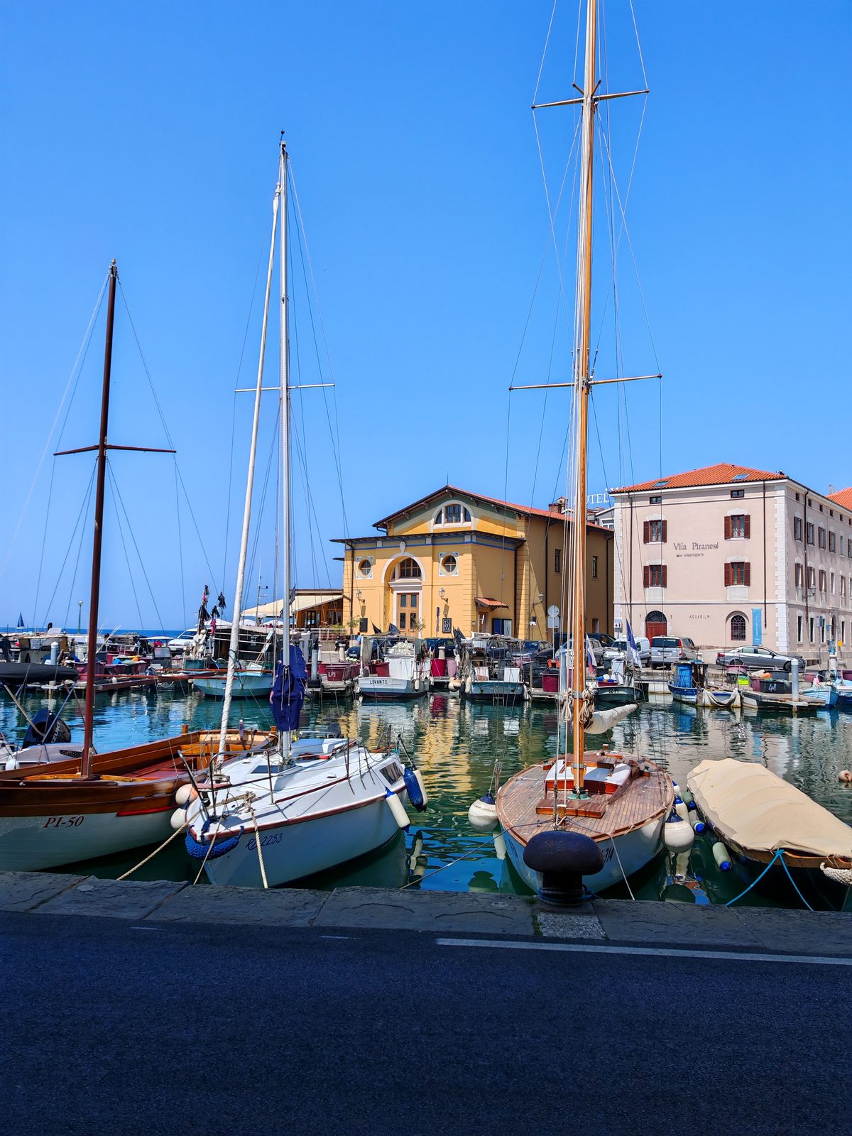 Sailboats in the marina